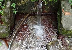 Acı tat bırakan 'şifalı su' için tüketim uyarısı