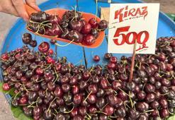Zirai donun vurduğu kiraz, Eskişehir'de kilosu 500 liradan satışta