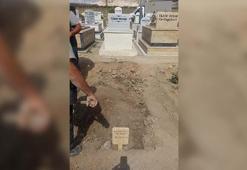 Aladağlar'da ölen Ganalı dağcının cenazesi, Niğde'de toprağa verildi