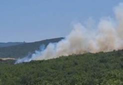 Bursa'da çıkan orman yangını kontrol altında