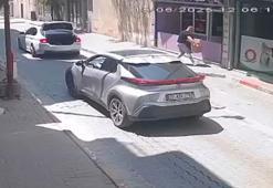 Klinik önüne koli içerisinde bırakılan köpek öldü