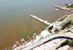 İzmit Körfezi'nde denizin rengi kahverengiye döndü