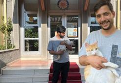 TEGV gönüllüsü veterinerin vefası