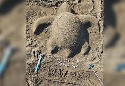 İztuzu Plajı'nda caretta yuva sayısı 300'e ulaştı