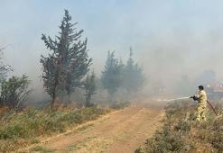 Çanakkale'de tarım arazisinde yangın