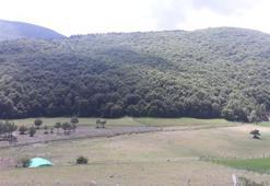 Samsun’da ormana girişler yasaklandı