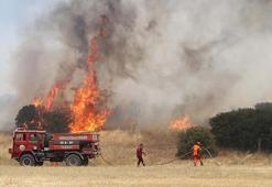 Manisa'da makilik yangını 3 saatte kontrol altında