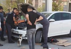 Kedi, otomobilin motor kısmında mahsur kalan 4 yavrusunun kurtarılmasını bekledi