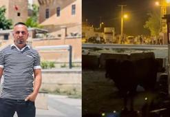 Kavgayı ayırmaya çalışırken öldü; soruşturmada 3 tutuklama