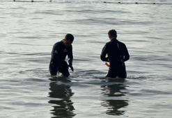 Bartın’da mavi bayraklı plajda kirlilik; denize girmek yasaklandı