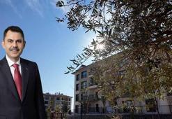 Bakan Kurum: Binlerce konutu daha tamamlama aşamasına getirdik