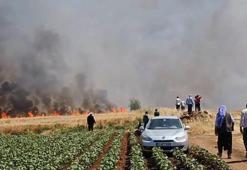 Şanlıurfa'da tarla yangını: 1'i ağır 5 yaralı