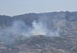 Şırnak'ta örtü yangını