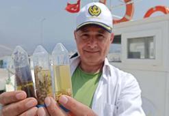 3 üniversiteden Doğu Akdeniz'de 'çöp kirliliği' araştırma projesi