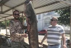 Meriç Nehri'nde 80 kilo ağırlığında yayın balığı yakaladı