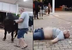 Para atarken boğanın boynuz darbesiyle havaya fırladı