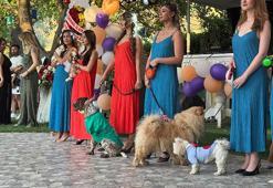 Ankara'da engelli hayvanlar için defile düzenlendi