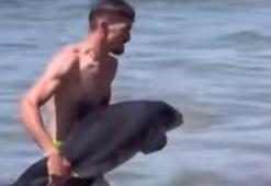 Kıyıya vuran yaralı yavru yunus denize bırakıldı