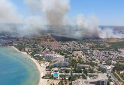 Aydın'da çıkan makilik yangını kontrol altında