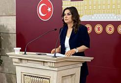 DEM Parti'li Koçyiğit: Kurtulmuş'un komisyon için yaptığı davetten memnuniyet duyuyoruz