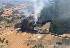 Bursa'da çıkan orman ve makilik yangını kontrol altında