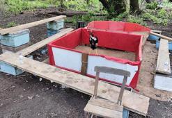 Muğla’da bahisli horoz dövüşüne baskın; hayvanları koruma derneği başkanı ve 15 şüpheli yakalandı