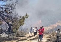 Semaver yakarken ormanı da yaktı; gözaltında