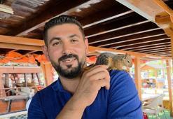 Omzundan inmeyen 'Belta' ile yat turları düzenliyor