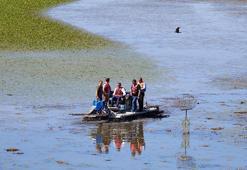 Vali, saz kesme makinesi ile gölü temizledi