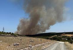 Çanakkale'de çıkan orman yangını kontrol altında