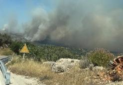 Sakız Adası’ndaki orman yangınında kundaklama şüphesi araştırılacak