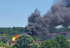 Sakarya Orman İşletme Müdürlüğü'nün deposunda yangın; ormana da sıçradı