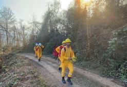 Kuraklığa bağlı orman yangınlarında 'artış' tehlikesi