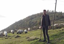 Gümüşhane'de kenenin ısırdığı çoban öldü