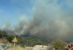 Sakız Adası'ndaki yangın kontrol altına alındı