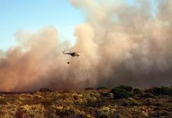 Almanya'da 8 bin metrekare alanı etkileyen orman yangını kontrol altına alındı