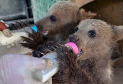 Tarsus Doğa Parkı, yeni yavrularla renklendi