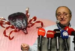 Prof. Dr. Kadıoğlu: Kenelerin neden olduğu Lyme hastalığı konusunda uzman az