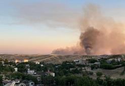 Diyarbakır’da çıkan anız yangını kontrol altında