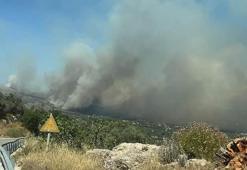 Sakız Adası’ndaki yangının nedeni belli oldu