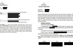 Martı, mahkeme kararıyla e-ulaşım lisansı aldı