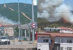 Kocaeli'de makilik yangını