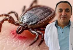 Prof. Dr. Yıldız: Göçmen kuşlar üzerlerinde kene getiriyorlar