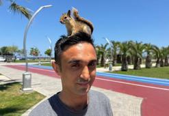 Doğada yaralı bulduğu sincap, en yakın arkadaşı oldu