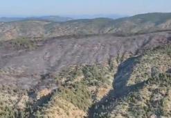 OGM: Bilecik'te orman yangını kontrol altına alındı