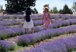 Tatil tercihinde yeni trend 'tarım turizmi'