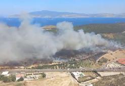 İzmir Aliağa'da orman yangını