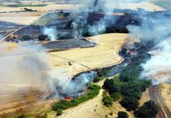 Edirne'de buğday tarlasında çıkıp ağaçlık alana sıçrayan yangın söndürüldü