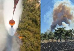İzmir Bornova'daki orman yangını kontrol altında