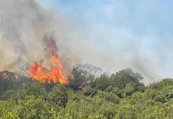 Bursa Yenişehir’de çıkan orman yangını kontrol altında